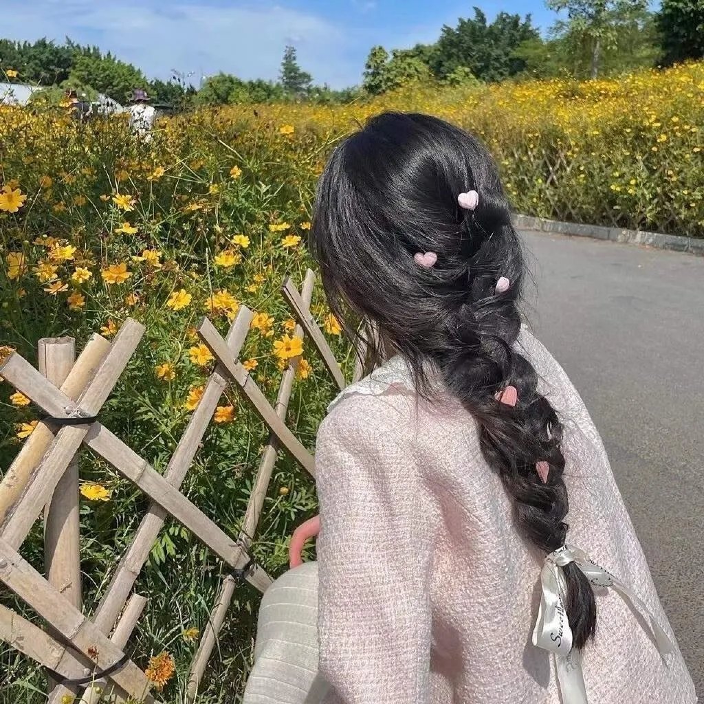 大明天子
